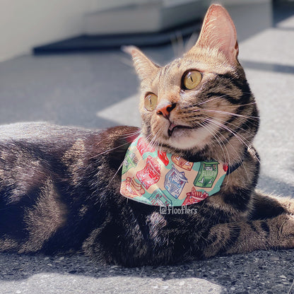 Floofy Pooky - Pet Bandana