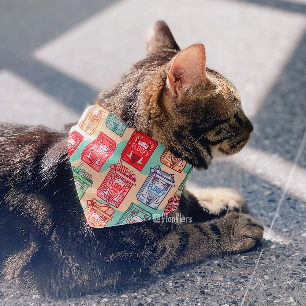 Floofy Pooky - Pet Bandana