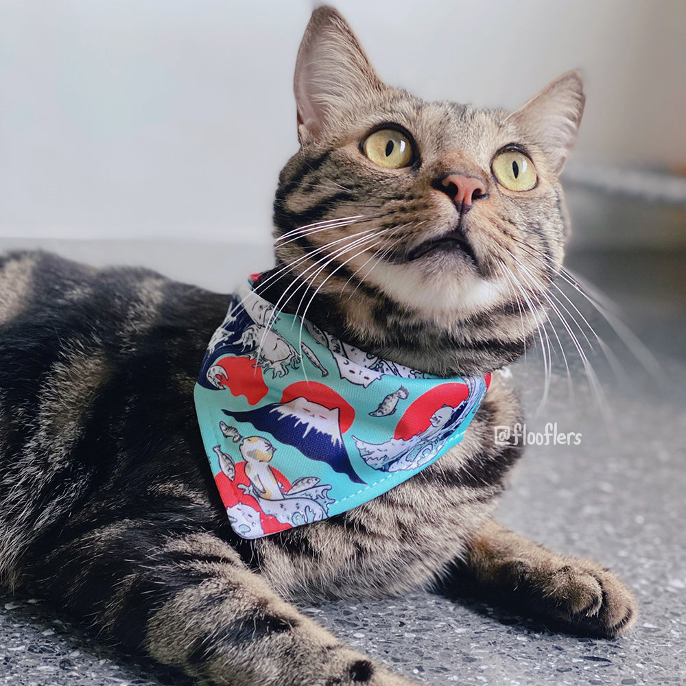 Catagawa Wave - Pet Bandana